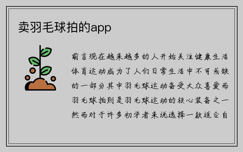 卖羽毛球拍的app