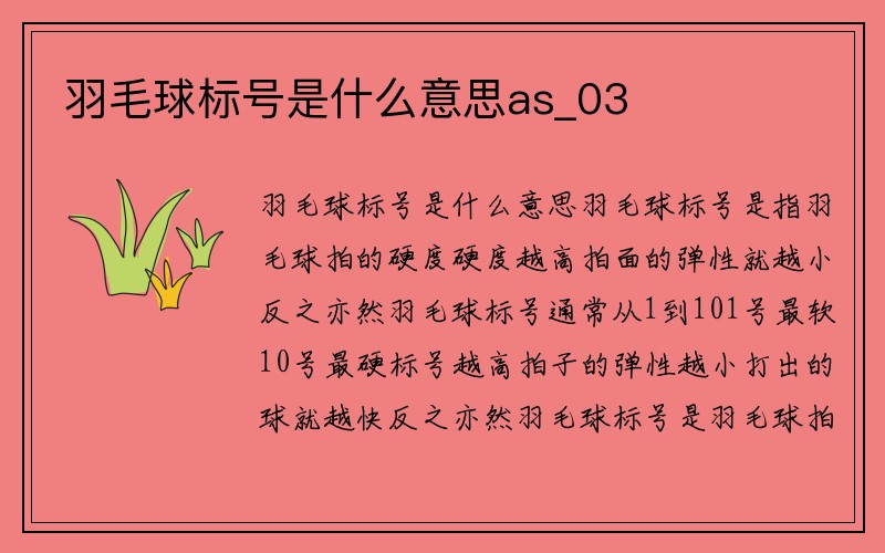 羽毛球标号是什么意思as_03