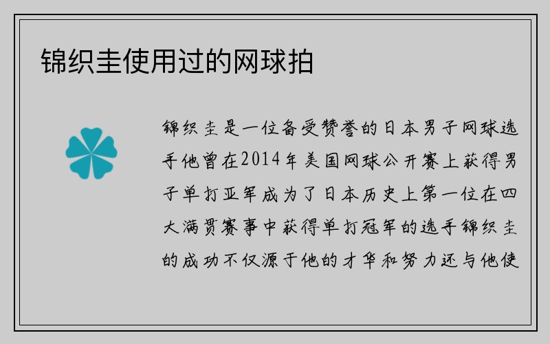 锦织圭使用过的网球拍