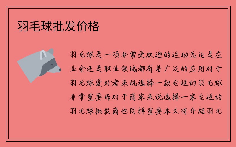 羽毛球批发价格