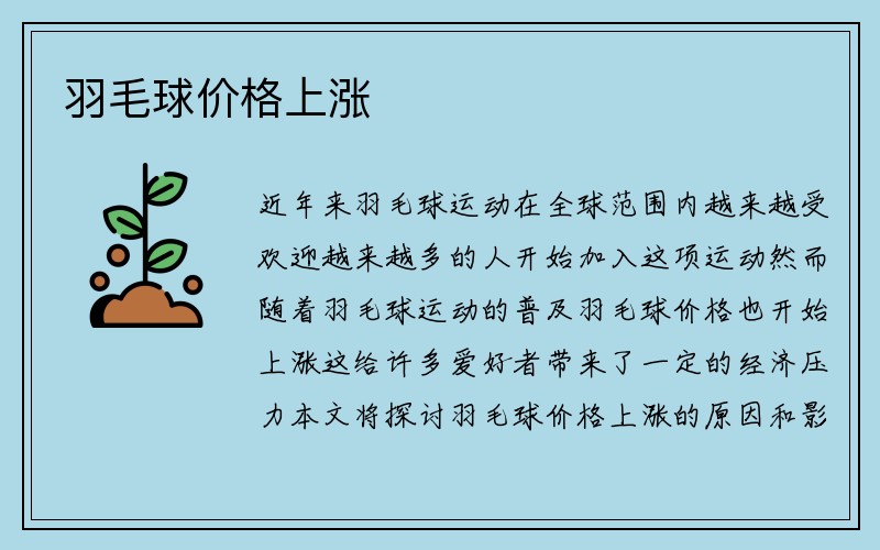 羽毛球价格上涨